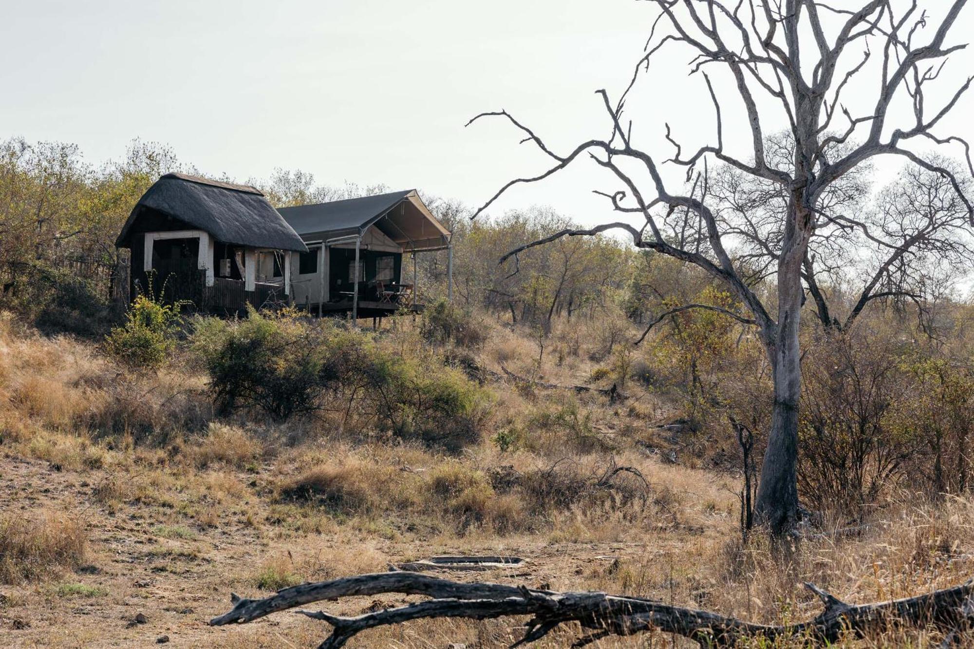 Willa Isambane Camp Balule Game Reserve Zewnętrze zdjęcie